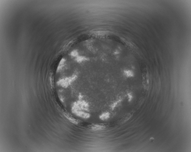 X0000080190718200701051723