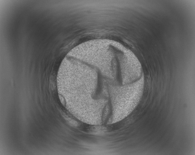 X0000080190719200701051723