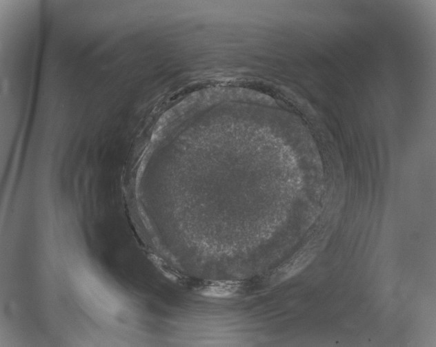 X0000080190720200701051723