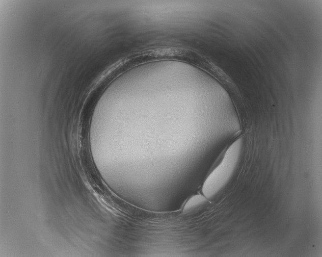 X0000080190722200701051722