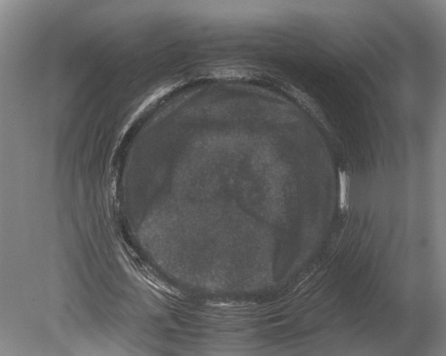 X0000080190723200701051722