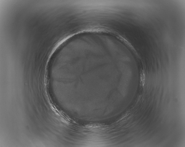 X0000080190724200701051722