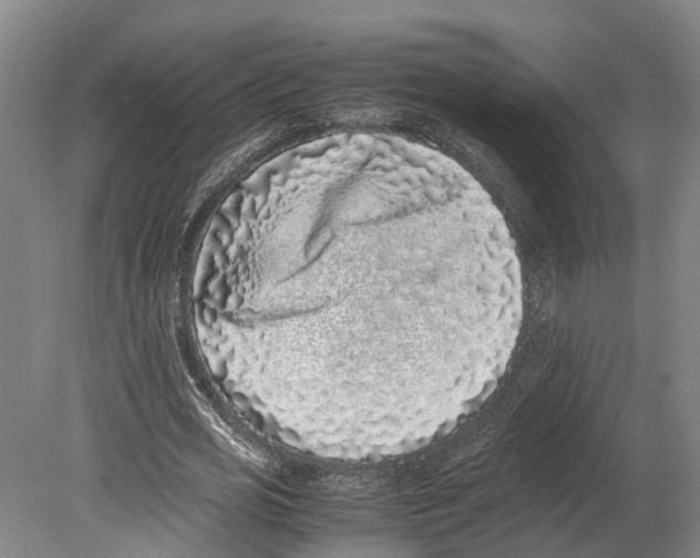 X0000080190725200701051722