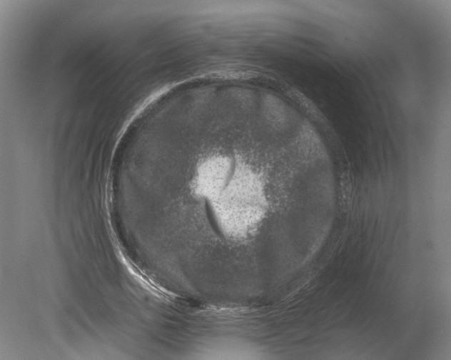 X0000080190726200701051722