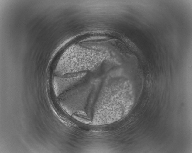 X0000080190728200701051722