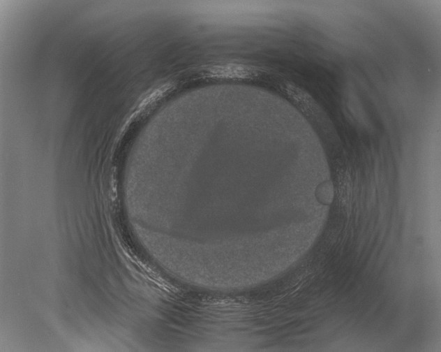 X0000080190731200701051722