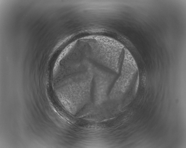 X0000080190732200701051722