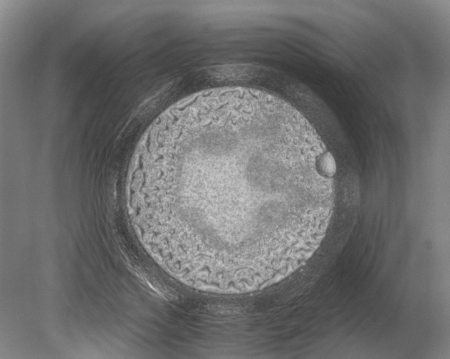 X0000080190733200701051722