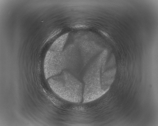 X0000080190735200701051722