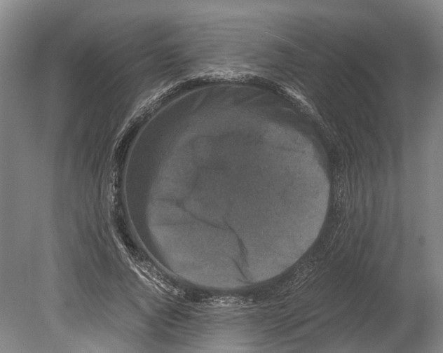 X0000080190736200701051722