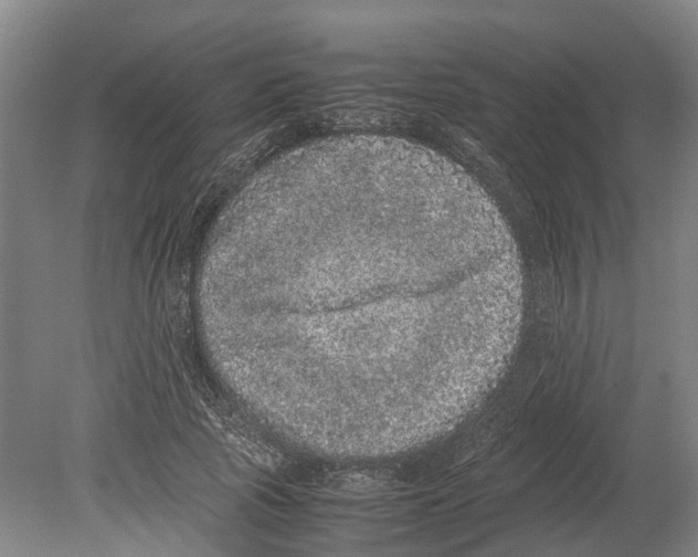 X0000080190737200701051722