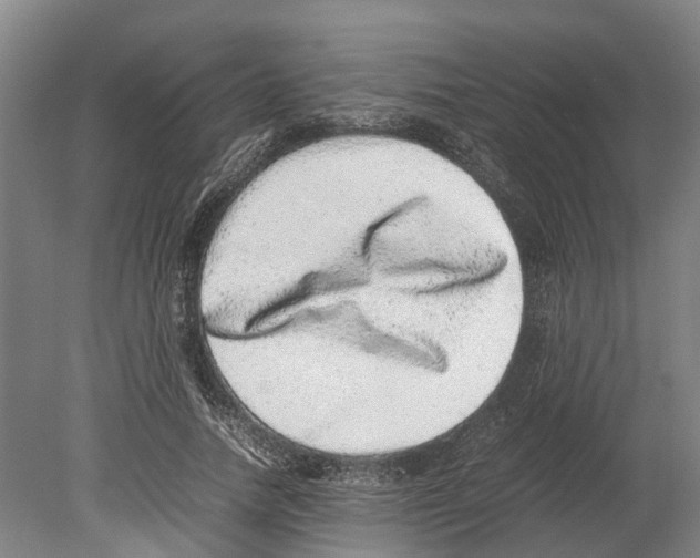 X0000080190738200701051722