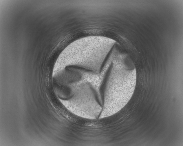 X0000080190739200701051722