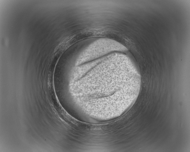 X0000080190740200701051722