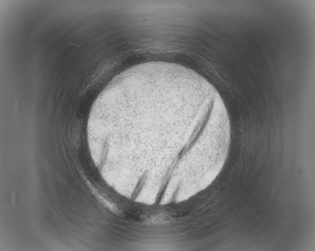 X0000080190742200701051722