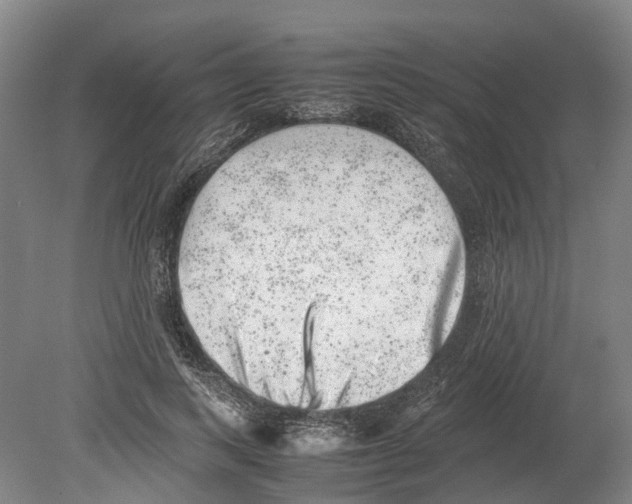 X0000080190743200701051722