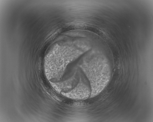 X0000080190744200701051722