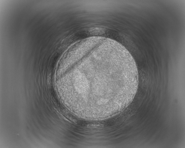 X0000080190745200701051722