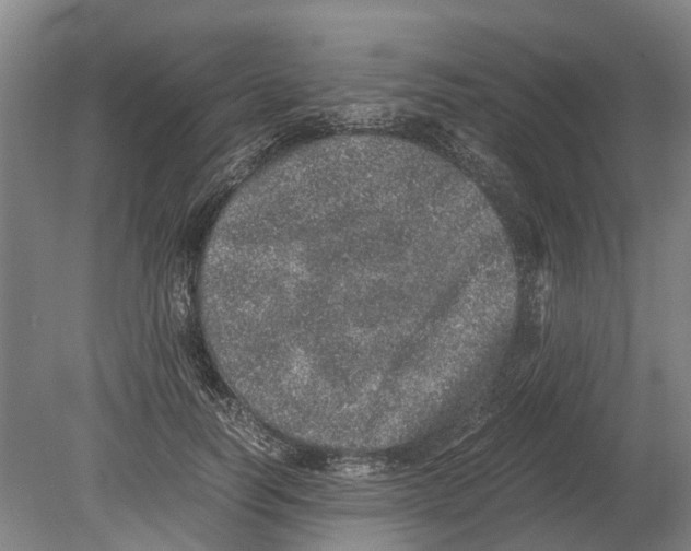 X0000080190746200701051722