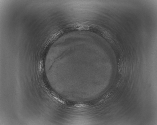 X0000080190748200701051722