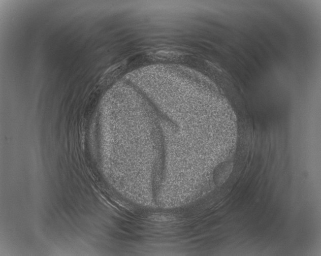 X0000080190749200701051722