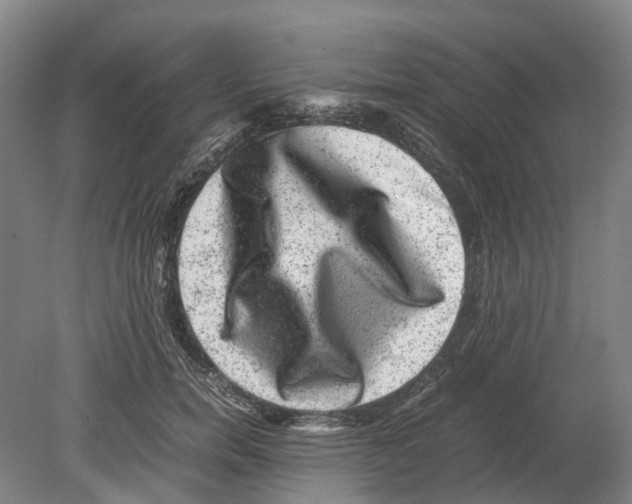 X0000080190750200701051722