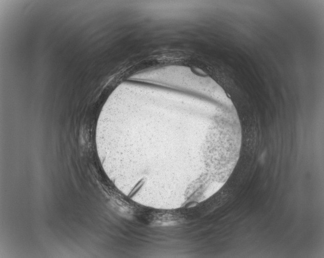 X0000080190755200701051722