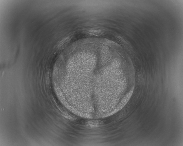 X0000080190757200701051723