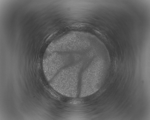 X0000080190758200701051723