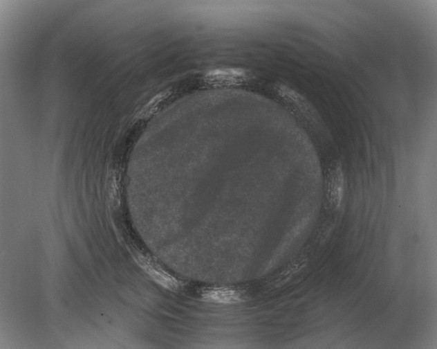 X0000080190759200701051723