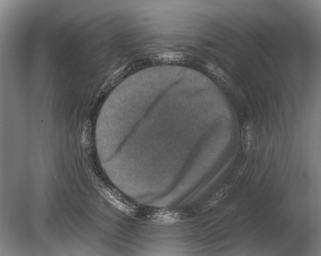 X0000080190760200701051723