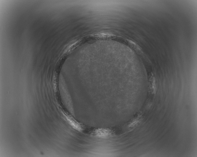 X0000080190762200701051723