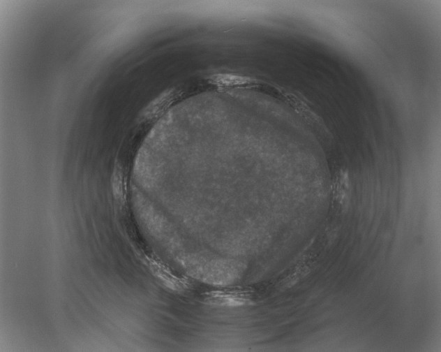 X0000080190763200701051723