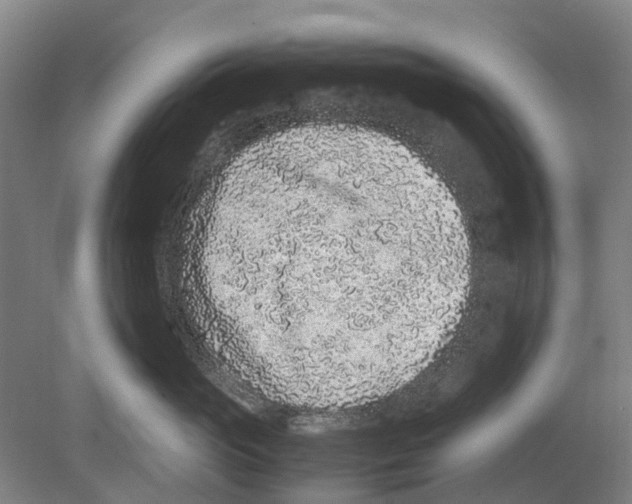 X0000080190765200701051723