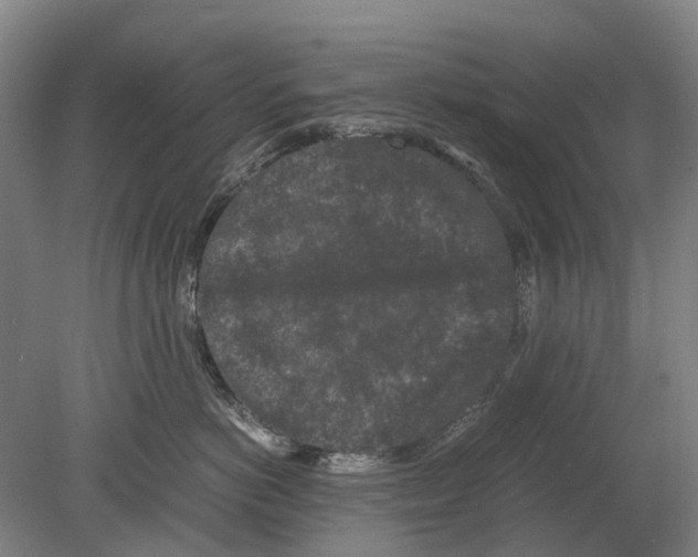 X0000080190766200701051723