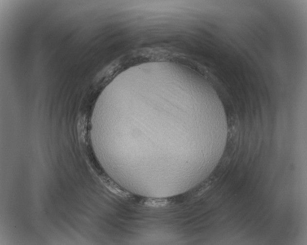 X0000080190767200701051723