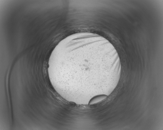 X0000080190768200701051723