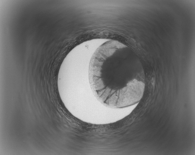 X0000080190769200701051722