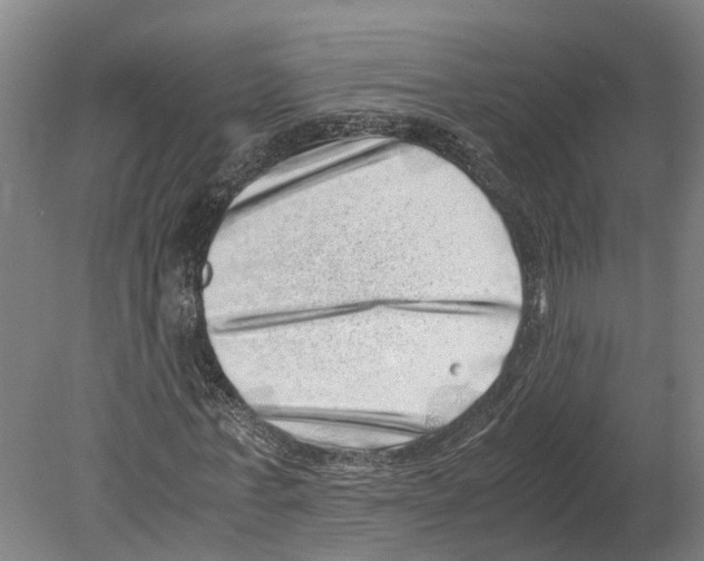 X0000080190771200701051722