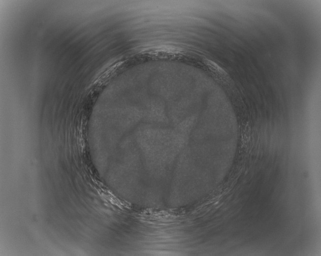 X0000080190774200701051722