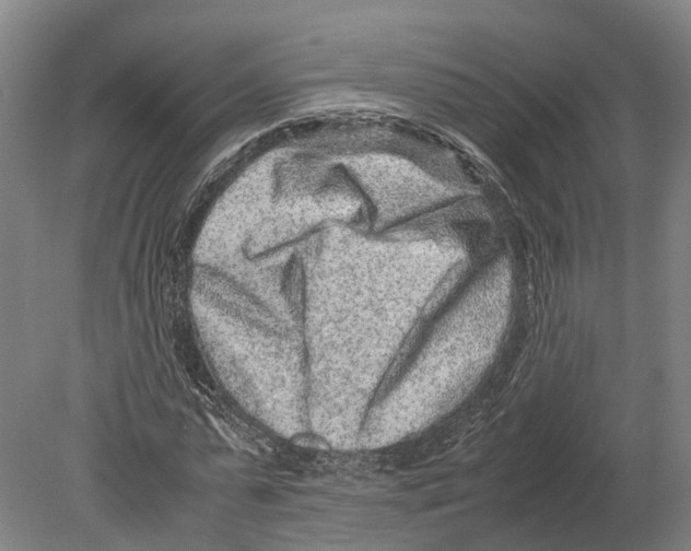 X0000080190775200701051722