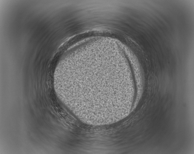 X0000080190776200701051722