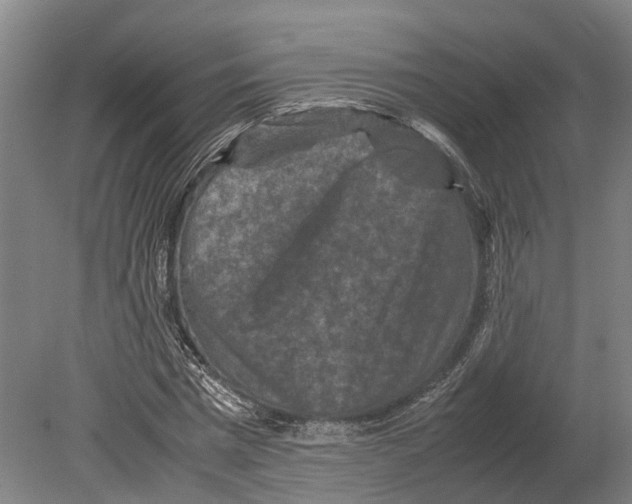 X0000080190777200701051722