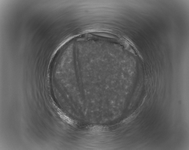 X0000080190779200701051722