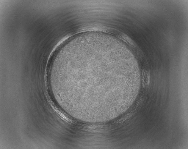 X0000080190780200701051722