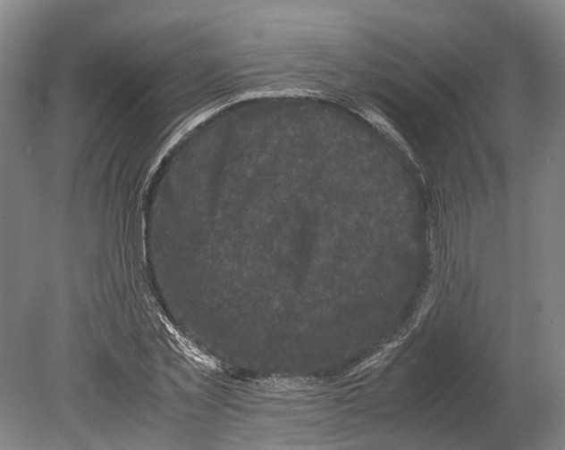 X0000080190781200701051722