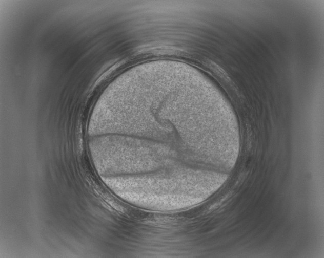 X0000080190782200701051722