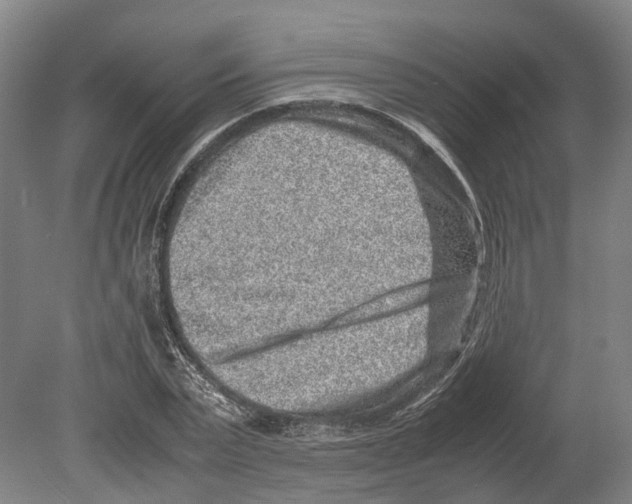 X0000080190783200701051722