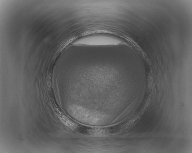 X0000080190785200701051722