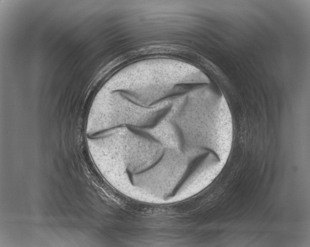 X0000080190786200701051722